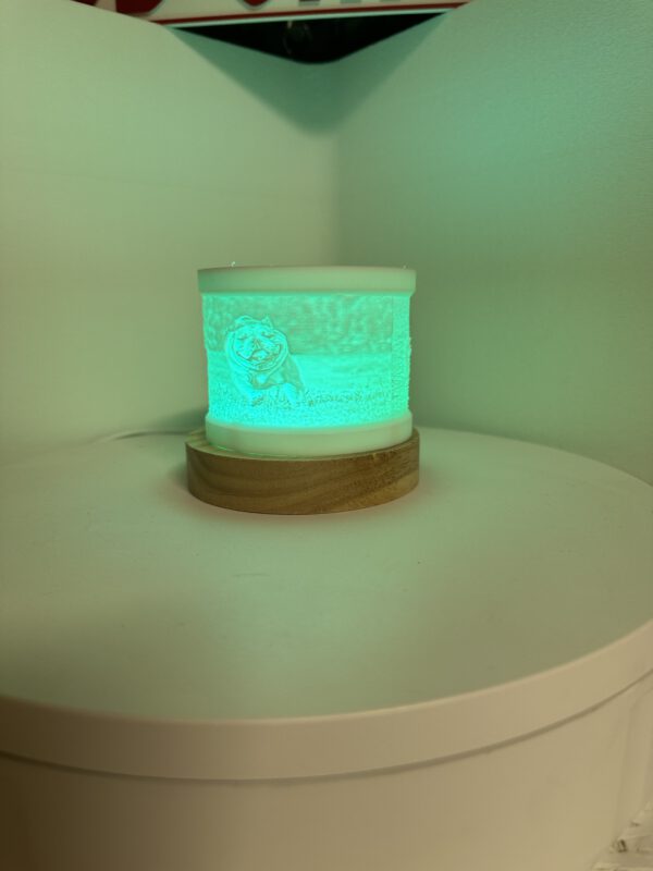 Individuelle Lithophane – Dein Foto als einzigartiges Licht 3D-Kunstwerk! – Bild 6