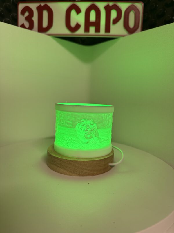 Individuelle Lithophane – Dein Foto als einzigartiges Licht 3D-Kunstwerk! – Bild 8