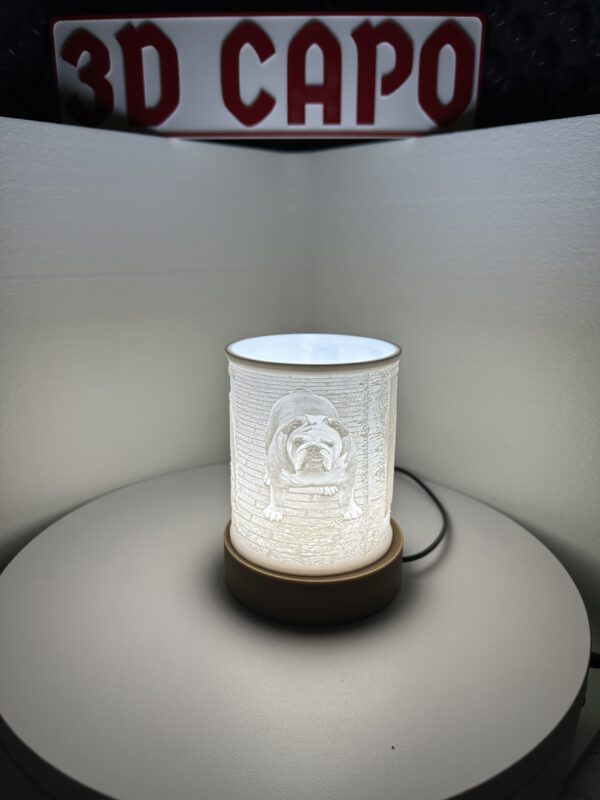 Individuelle Lithophane – Dein Foto als einzigartiges Licht 3D-Kunstwerk! – Bild 12