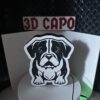 Lightbox "Englische Bulldogge" – Bild 4