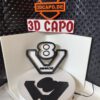 Lightbox V8 - Scania – Bild 4